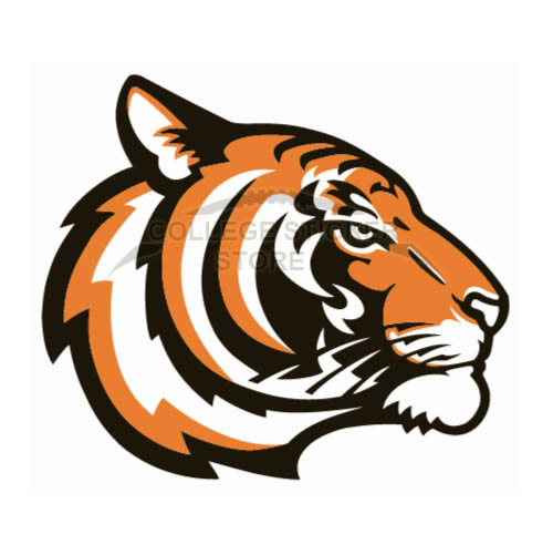 Homemade Princeton Tigers Iron-on Transfers (Wall Stickers)NO.5925